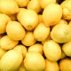 Fresh lemons in supermarket